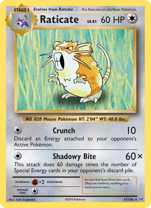 Raticate Rare (67/108) xy12
